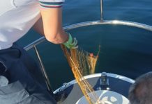 Rinvenuta rete abusiva nelle vicinanze del porto di Torre del Greco