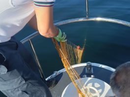 Rinvenuta rete abusiva nelle vicinanze del porto di Torre del Greco