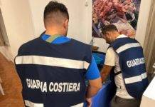 Torre del Greco: filiera della pesca, sanzioni e sequestri