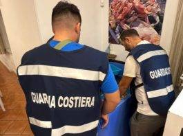 Torre del Greco: filiera della pesca, sanzioni e sequestri