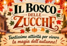 Il Bosco delle Zucche: due giornate di festa per grandi e piccoli