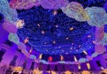 Luci d’Artista, FeNAILP: «La svolta è coinvolgere tutta Salerno»