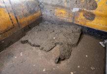 Armadio di Pompei: riemerge la memoria di una vita sepolta pompei scavi