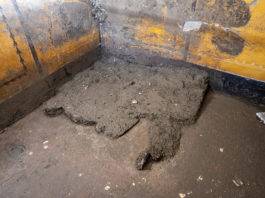 Armadio di Pompei: riemerge la memoria di una vita sepolta pompei scavi